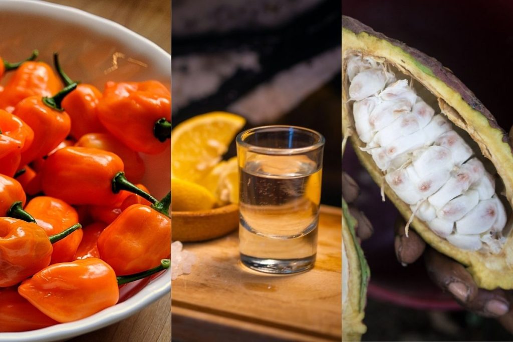 Productos hechos en México respaldados por la Denominación de Origen