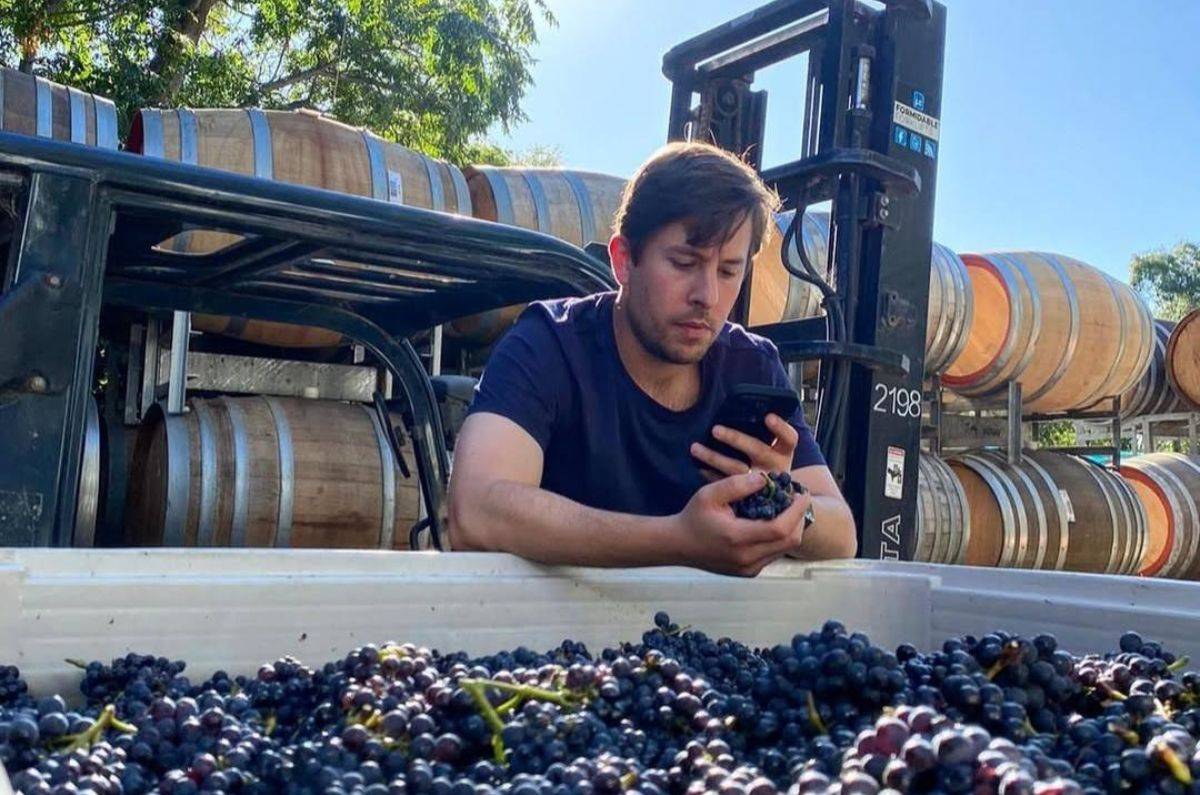 Enólogo Mauricio Ruiz Cantú en el Valle de McLaren, foto tomada de las redes sociales de la bodega