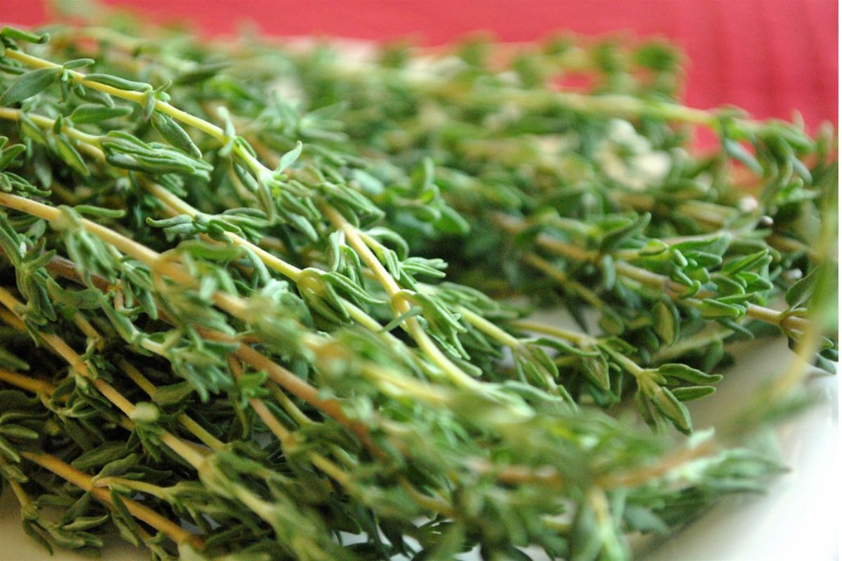 Tomillo fresco. Foto de Pexels.