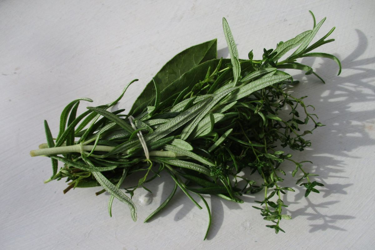 Mezcla de hierbas aromáticas. Foto de Pexels.