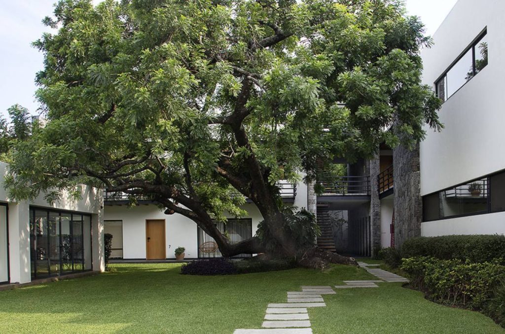 Cena en La Veladora de Casa Fernanda con los chefs de Xokol