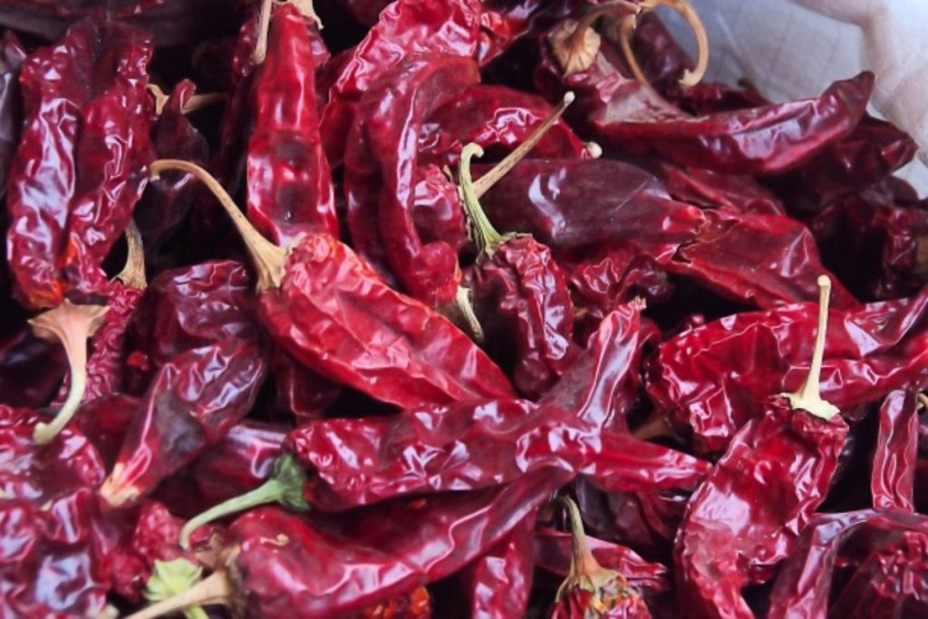 Los chiles secos pueden mantenerse en buen estado hasta por 2 años.