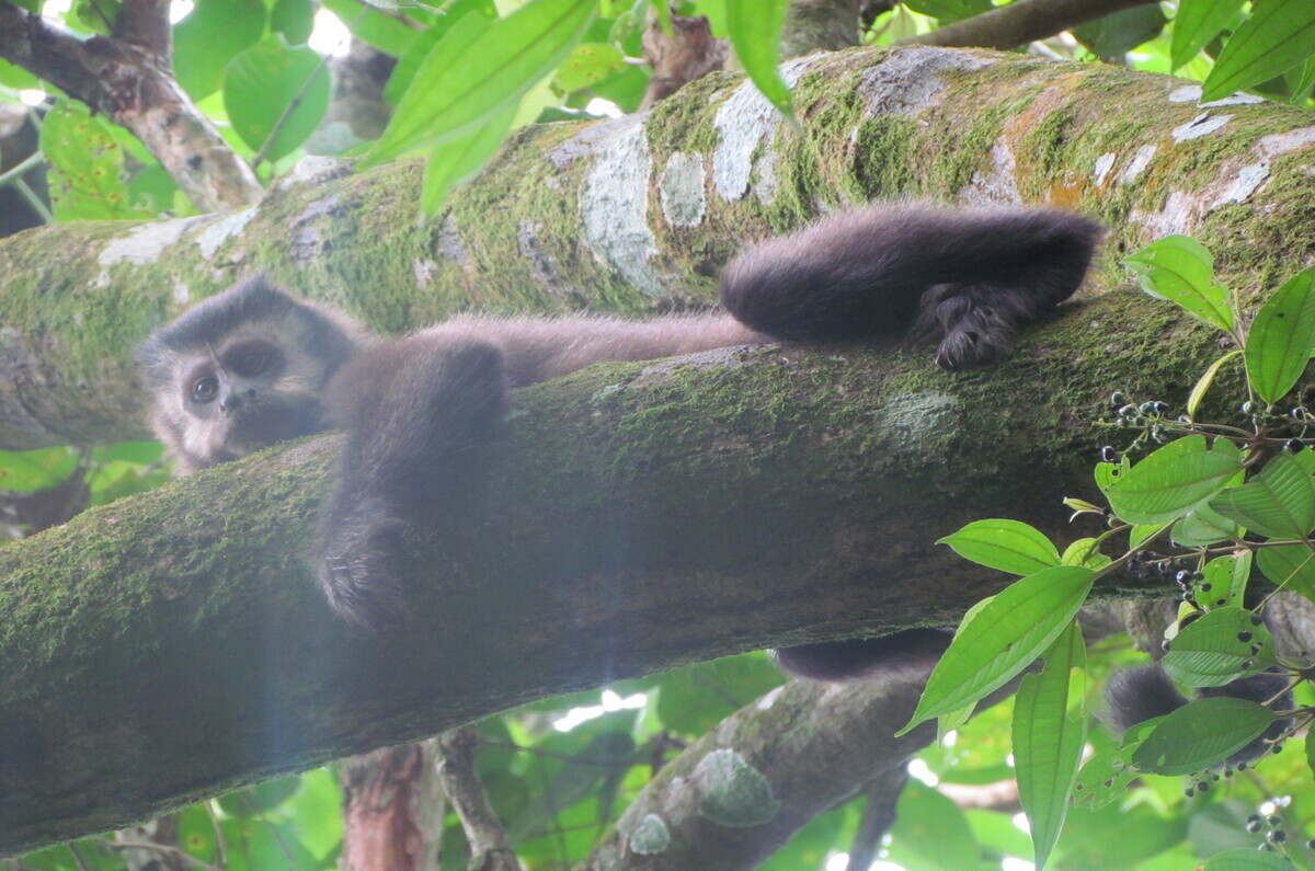 Una experiencia de viaje en las Cataratas del Iguazú 2