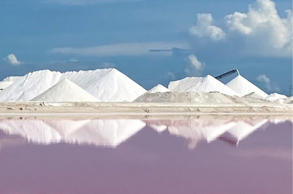 Las Coloradas Yucatán: por qué el agua de la laguna es rosa