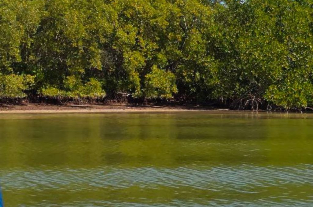Recorrido por Río Lagartos y San Felipe en Yucatán 0