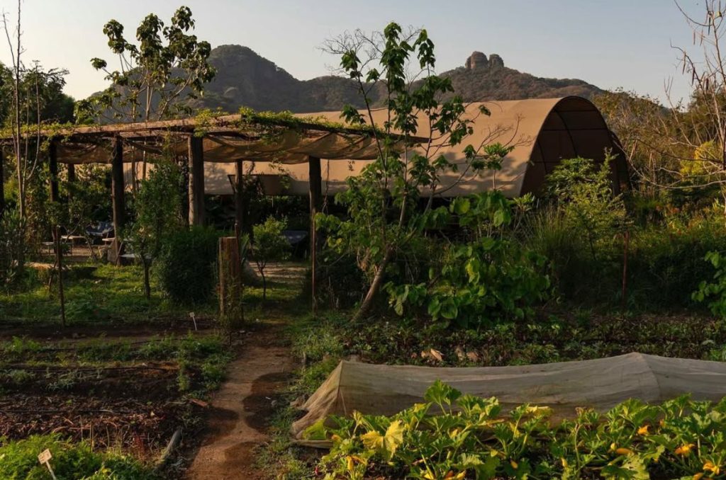 Parcela Tepoztlán: proyecto regenerativo del Tepozteco