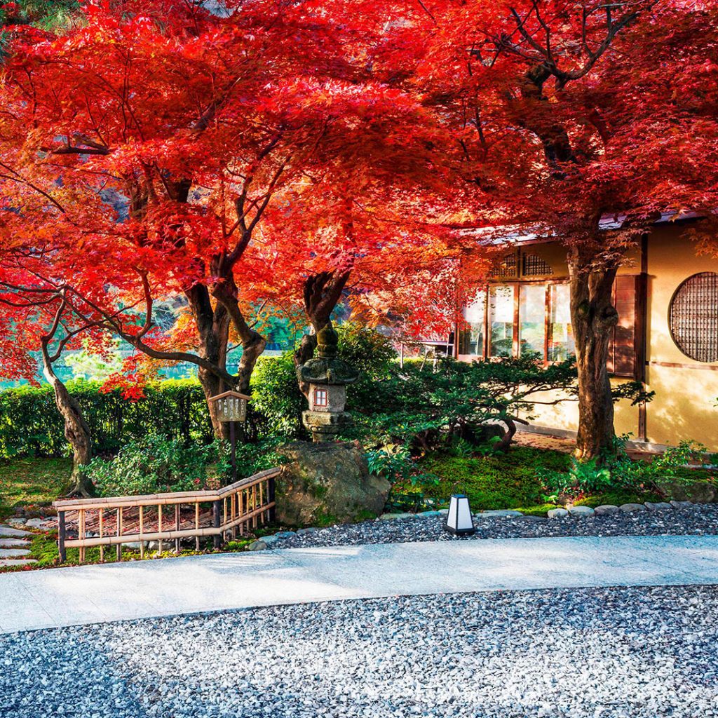 Suiran, a Luxury Collection Hotel, Kyoto: poesía y colores de otoño 3