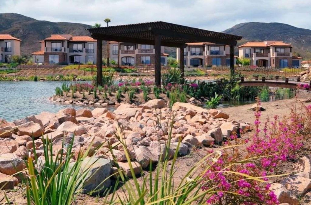 Bodega El Cielo, un gran referente en el firmamento del vino mexicano