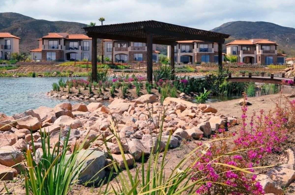 Bodega El Cielo, un gran referente en el firmamento del vino mexicano