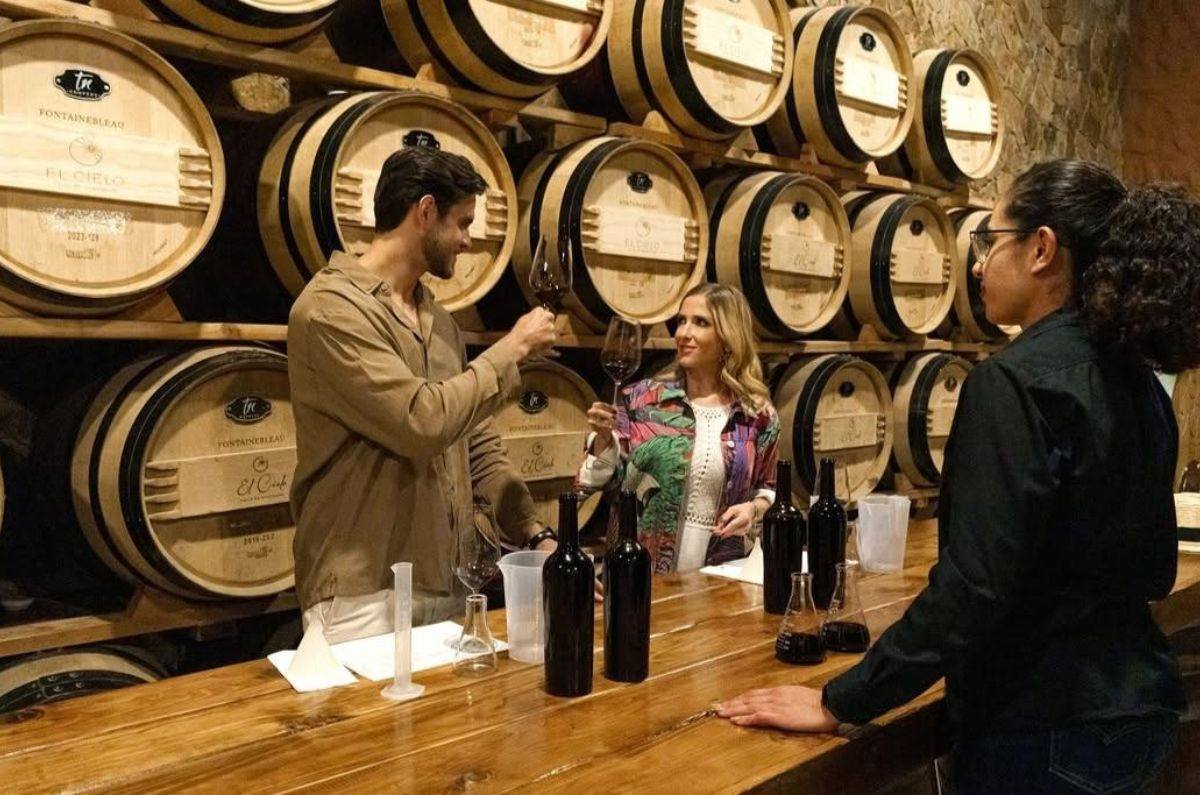 Degustación de vinos en la cava de la bodega, foto tomada de sus redes sociales
