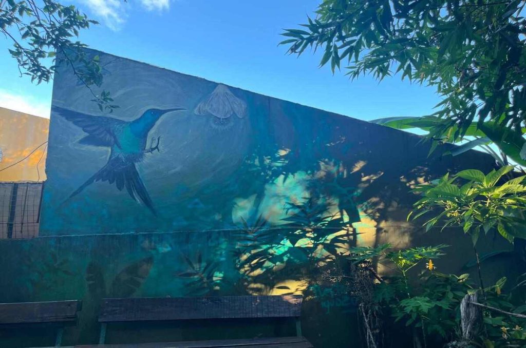 Una experiencia de viaje en las Cataratas del Iguazú 8