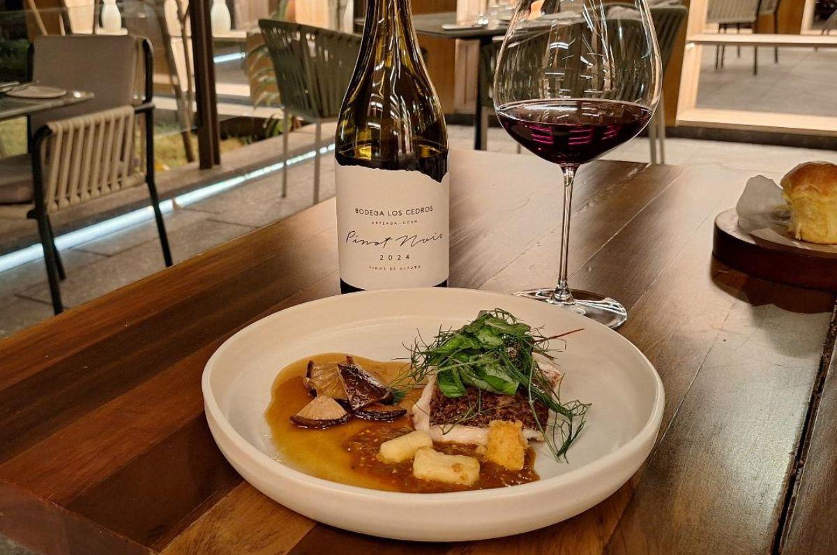 Pesca del día, dashi de hongos, mermeladade tomates y gnocchis maridado con Pinot Noir de Bodega Los Cedros, foto de Miriam Carmo