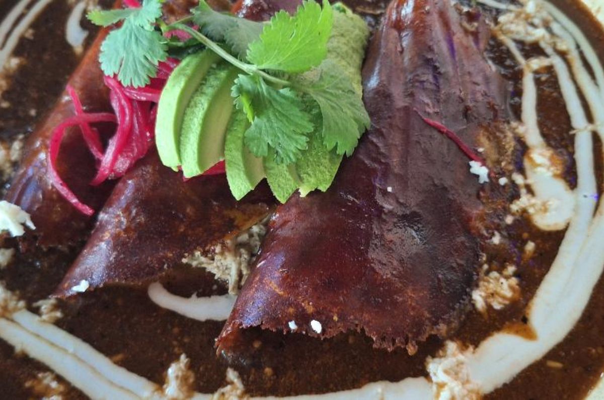 Enchiladas con costra de queso en recado blanco, foto de Miriam Carmo