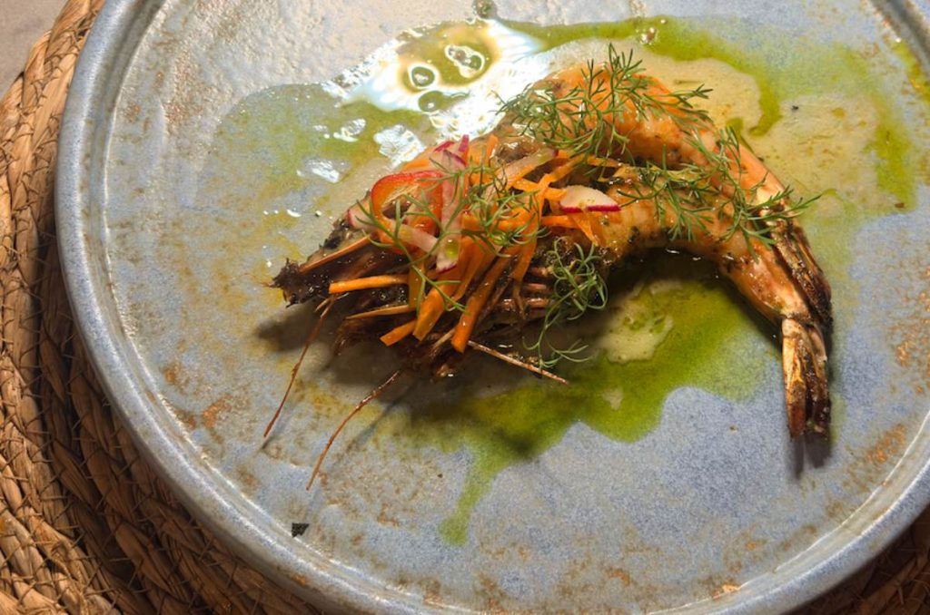 Restaurantes en Valle de Guadalupe: joyas escondidas que debes visitar pronto 3