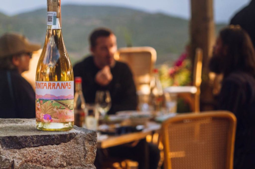 Qué vitivinícolas visitar en Valle de Guadalupe si amas el vino mexicano 1