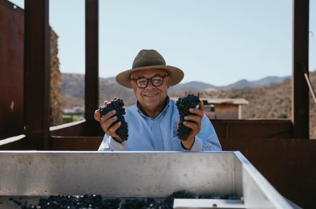 Qué vitivinícolas visitar en Valle de Guadalupe si amas el vino mexicano 3