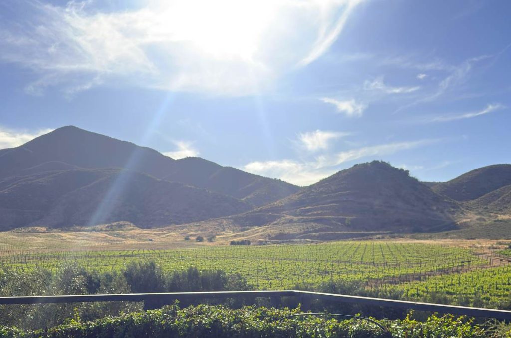 Qué vitivinícolas visitar en Valle de Guadalupe si amas el vino mexicano 0