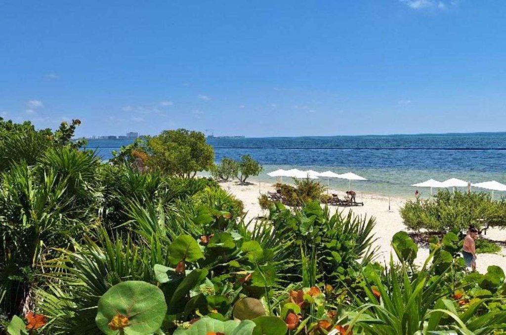 AVA Resort Cancún