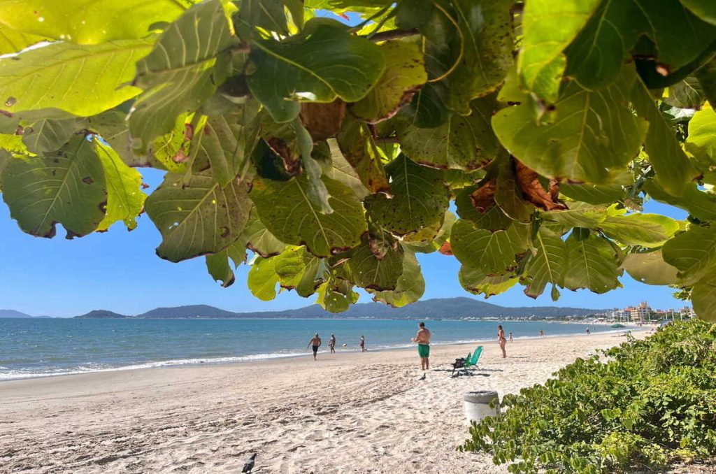 Florianópolis: una experiencia de viaje en Canasveiras 0