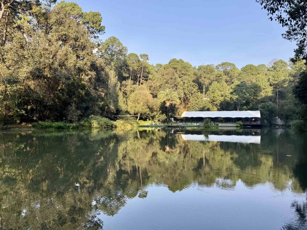 En el silencio del bosque