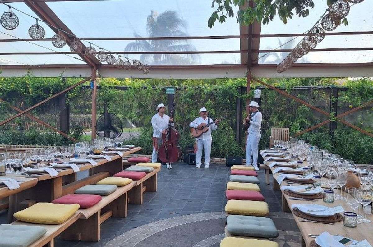 Música en vivo durante la cena en La Ceiba, foto de Miriam Carmo